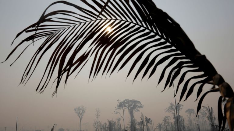 Partie brûlante de la jungle amazonienne à Porto Velho, Brésil, le 25 août 2019. REUTERS / Ricardo Moraes