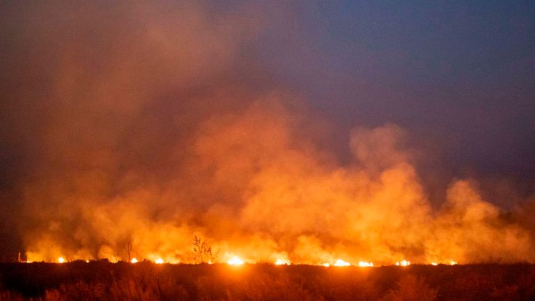 Les incendies d'Amazon