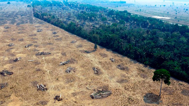 Vue aérienne des zones brûlées de la forêt amazonienne, près de Porto Velho, État de Rondonia, Brésil, le 24 août 2019