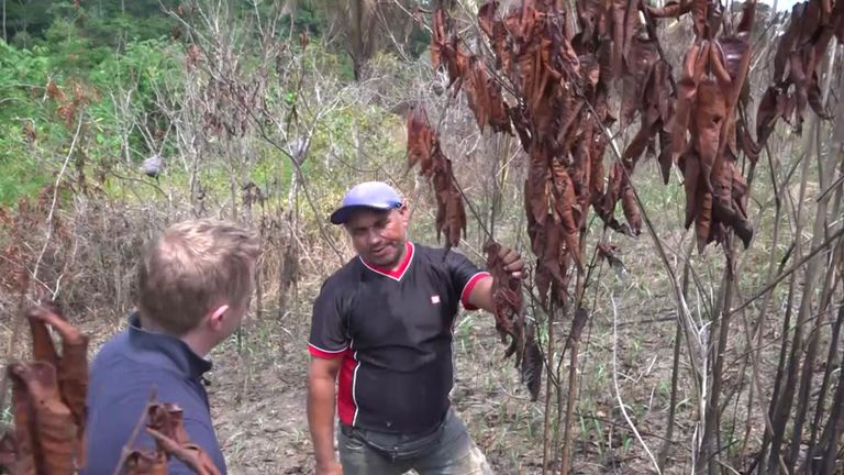 Raimundo Nonato Apurina dit que les incendies vont les chasser de la terre