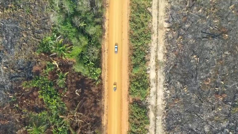 L'autoroute transamazonienne traverse la forêt tropicale