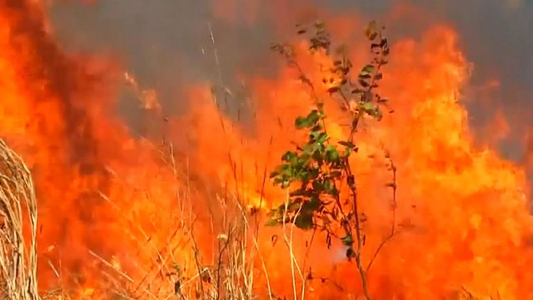 72 843 incendies ont été détectés en Amazonie cette année