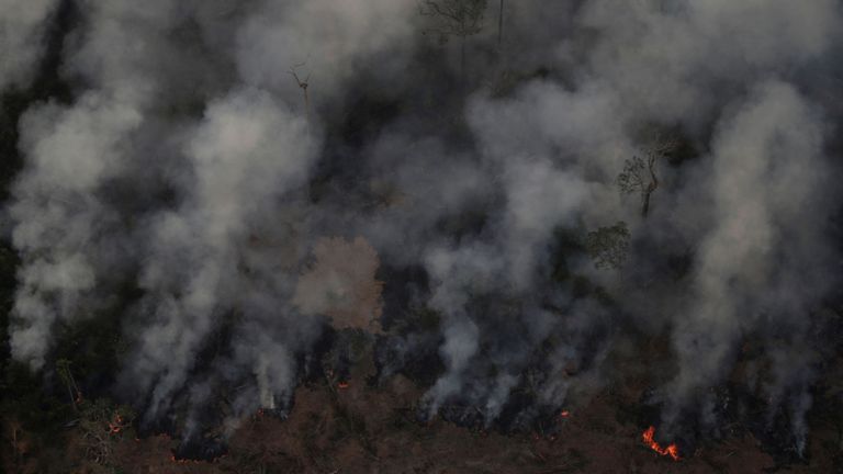 L'agence de surveillance officielle du Brésil a signalé une forte augmentation des incendies de forêt dans l'Amazonie cette année