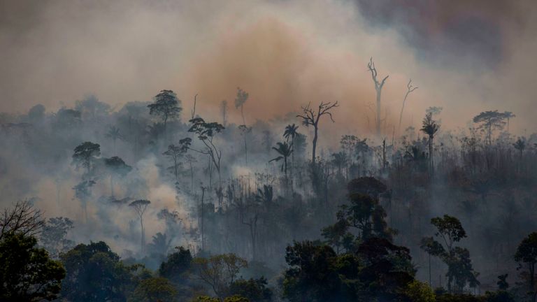 La fumée monte des incendies de forêt à Altamira dans l’État Para du Brésil
