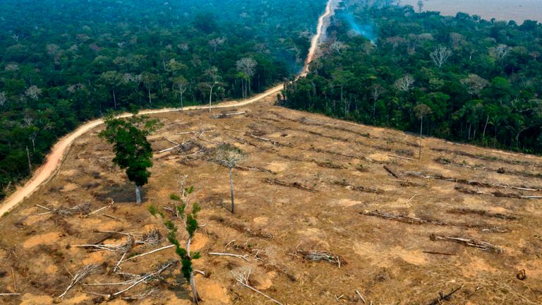 Zone brûlée de la forêt amazonienne