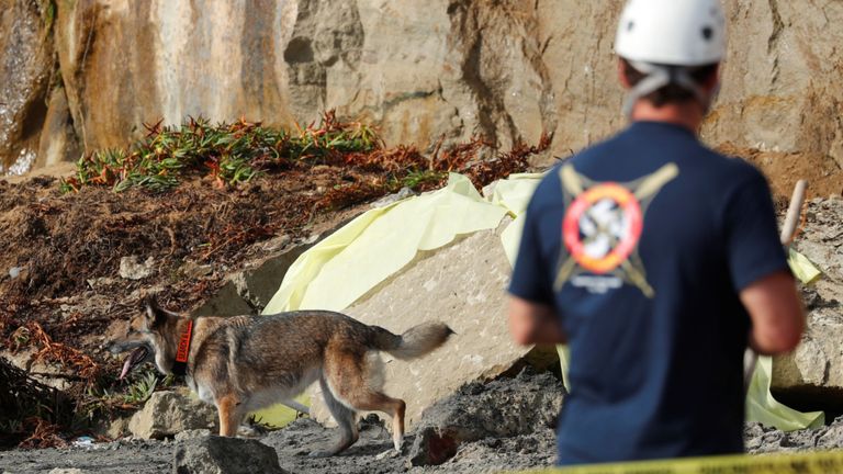 Une dalle de la falaise longue de 30 pieds est tombée près de la plage Grandview au nord de San Diego
