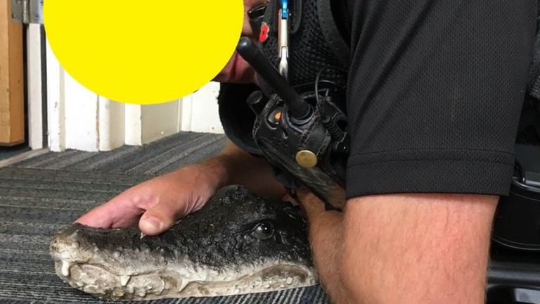 La police a ensuite partagé cette langue en un claquement de joue