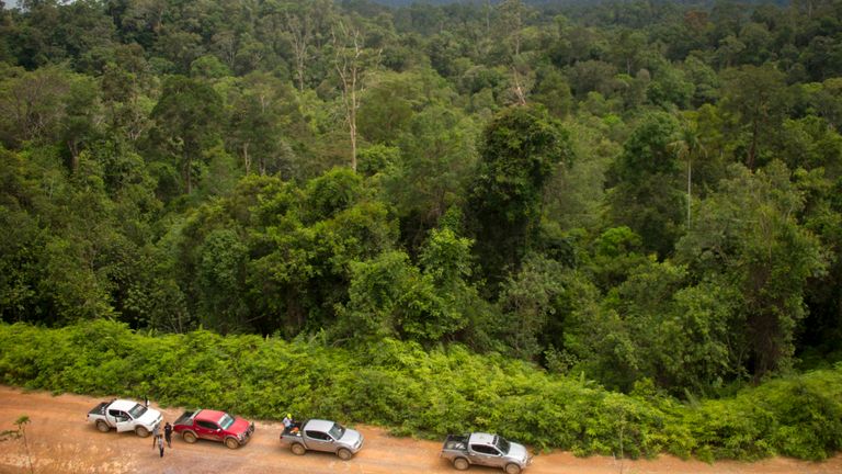 L'emplacement de Kalimantan Est était autrefois presque entièrement recouvert de forêts tropicales