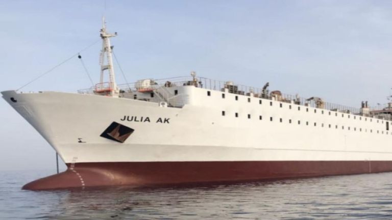 Le navire Julia AK compte 5 500 jeunes vaches à bord. Image: Talia Shipping Line Co Sarl