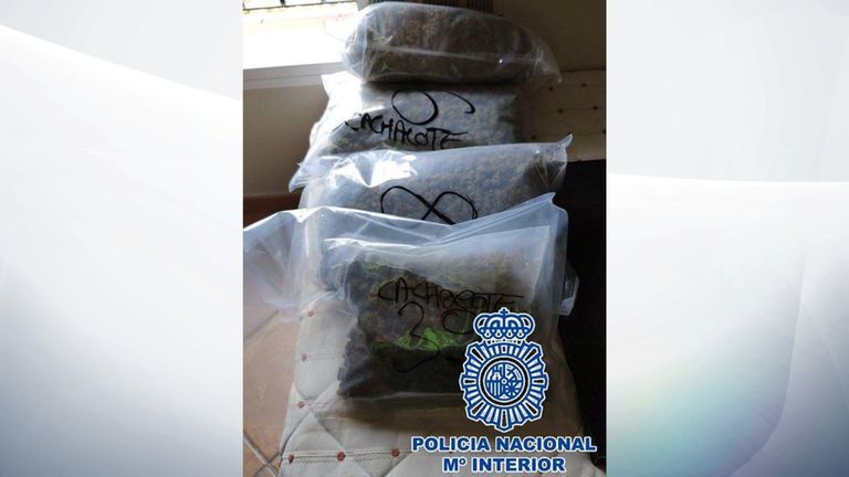 Cinq personnes ont été arrêtées. Pic: Policia Nacional