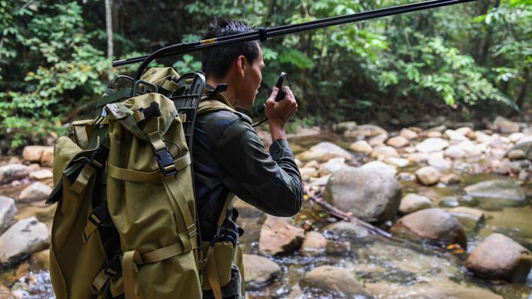 La recherche s'étend dans la jungle dense autour de l'hôtel