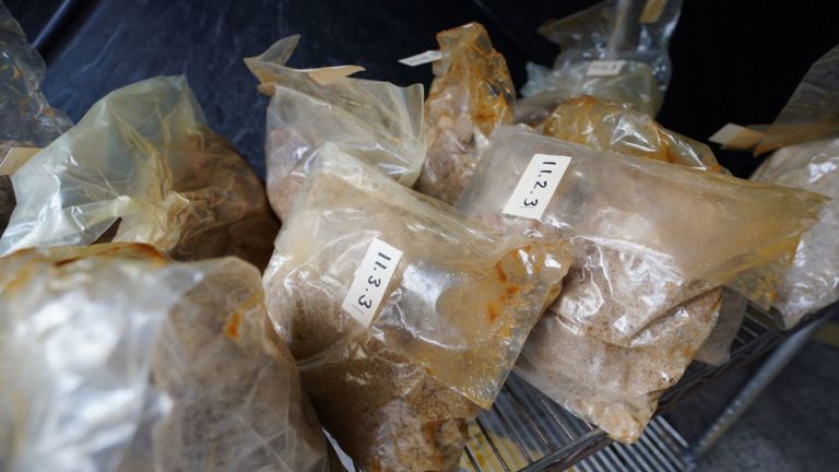 Quatre Britanniques ont été arrêtés en Australie et en Nouvelle-Zélande à la suite d'une opération de drogue visant un syndicat britannique du crime organisé. Pic: Qld Police