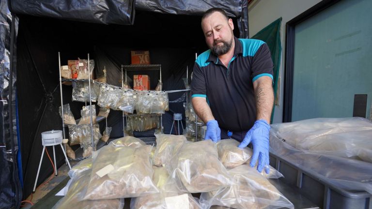 Quatre Britanniques ont été arrêtés en Australie et en Nouvelle-Zélande à la suite d'une opération de drogue visant un syndicat britannique du crime organisé. Pic: Qld Police