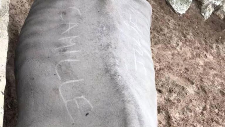 Un rhinocéros qui a eu deux visiteurs du zoo & # 39; nommé griffé sur le dos. Pic: Royan News