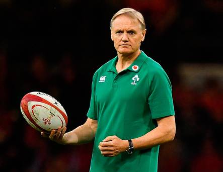 L'équipe irlandaise de coupe du monde de rugby a confirmé: Devin Toner, le grand nom à perdre, Joe Schmidt se qualifiant pour la finale 31