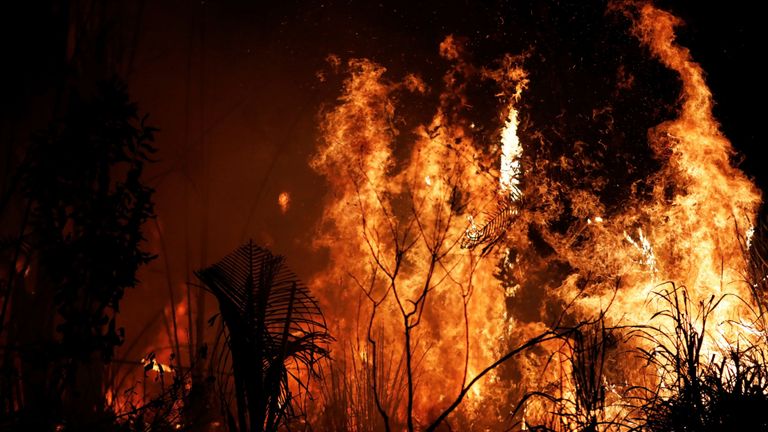 Les incendies d'Amazon