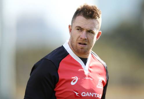 Munster signe un contrat polyvalent avec Jed Holloway sur un accord à court terme
