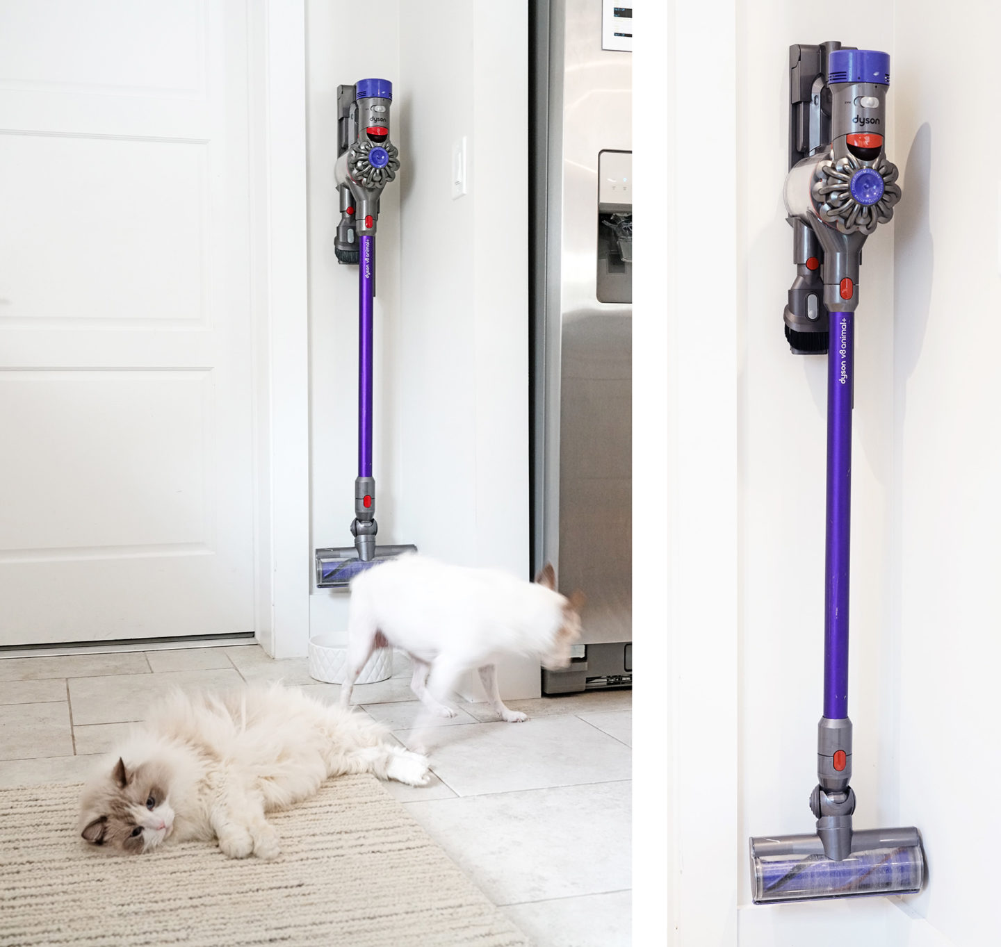 Aspirateur sans fil Dyson V8 Animal