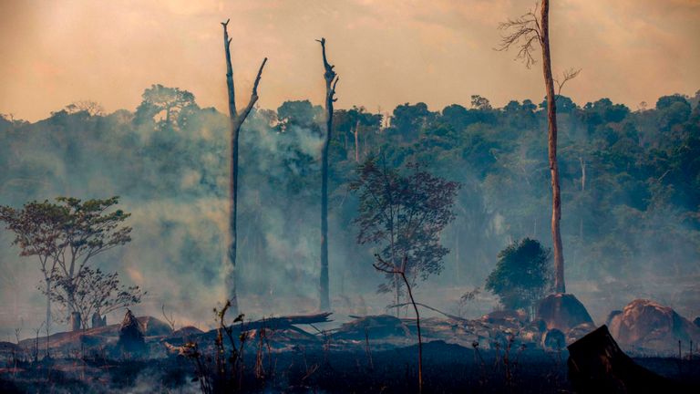 Des incendies de forêt naissent des feux de forêt à Altamira, dans l'État de Para, au Brésil, dans le bassin amazonien, le 27 août 2019. - Le Brésil acceptera une aide étrangère pour lutter contre les incendies dans la forêt amazonienne à condition que le pays d'Amérique latine contrôle l'argent Le porte-parole du président a déclaré mardi