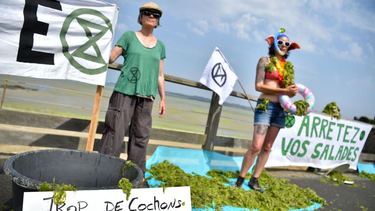 Des activistes protestent contre les algues toxiques sur la plage du Vallais
