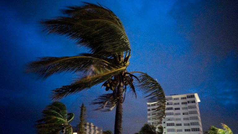 Des vents forts déplacent les palmiers au premier moment de l'arrivée de l'ouragan Dorian à Freeport, Grand Bahama (Bahamas), le dimanche 1er septembre 2019. (AP Photo / Ramon Espinosa)