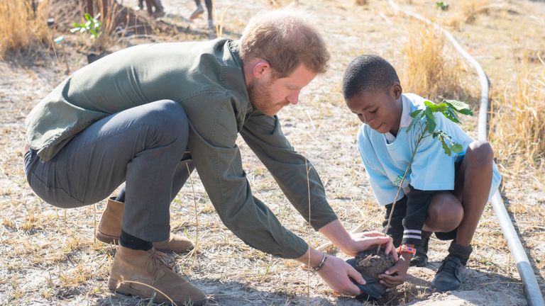 Le prince Harry participe à une plantation d'arbres avec des écoliers au Botswana