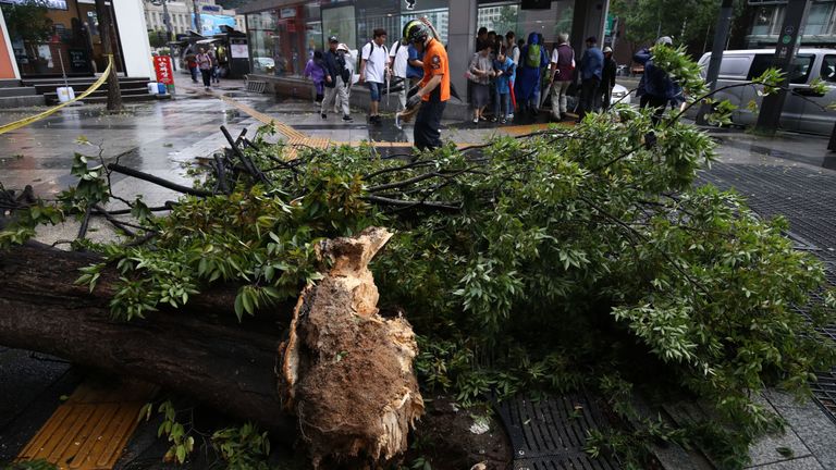 Un membre de l'équipe de secours sud-coréenne libère la branche d'un arbre tombé sur la route alors que le typhon Lingling soufflait très fort le 07 septembre 2019 à Séoul, en Corée du Sud