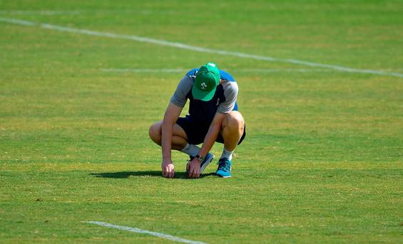 World Rugby évite la guerre de territoire alors que le camp irlandais minimise les inquiétudes suscitées par le mauvais état du terrain à Fukuoka