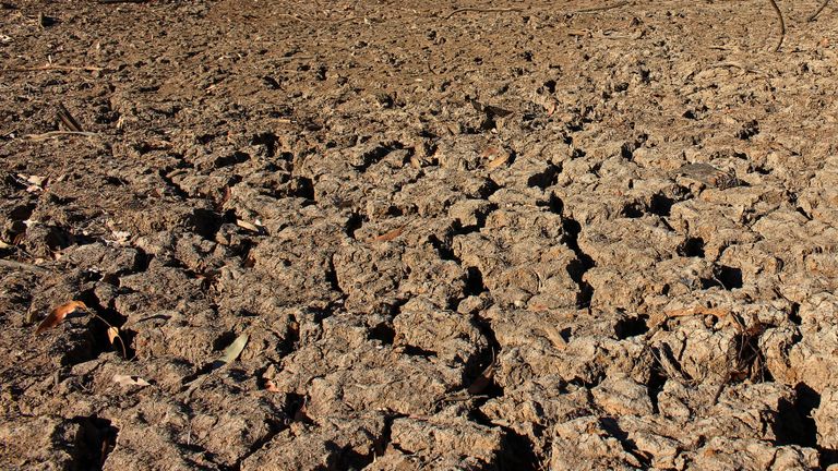 Vue d'une terre fissurée due à la sécheresse sur un petit réservoir d'eau à Armidale, en Australie rurale, le 24 septembre 2019. Photo prise le 24 septembre 2019. REUTERS / Jonathan Barrett