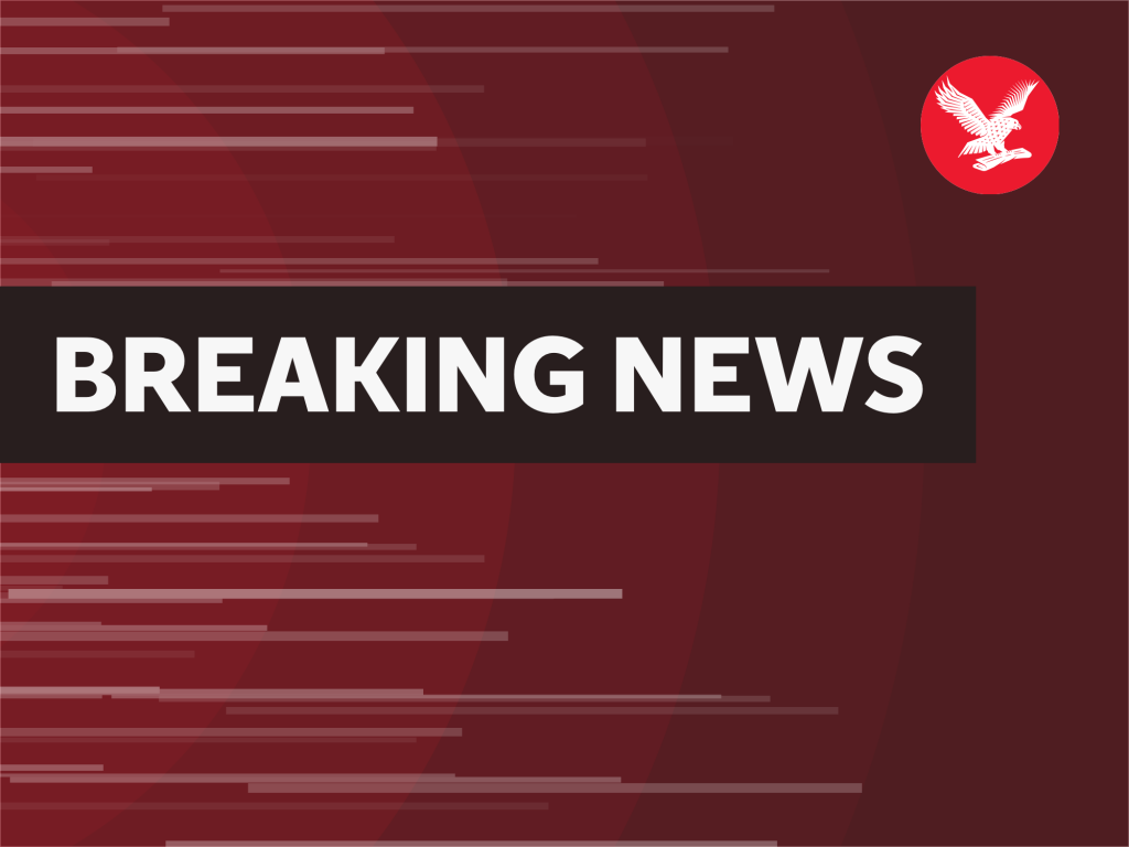 Michael Cheika quitte son poste d'entraîneur australien après la sortie de la Coupe du monde de rugby