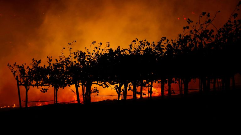 Les célèbres vignobles du nord de la Californie sont menacés