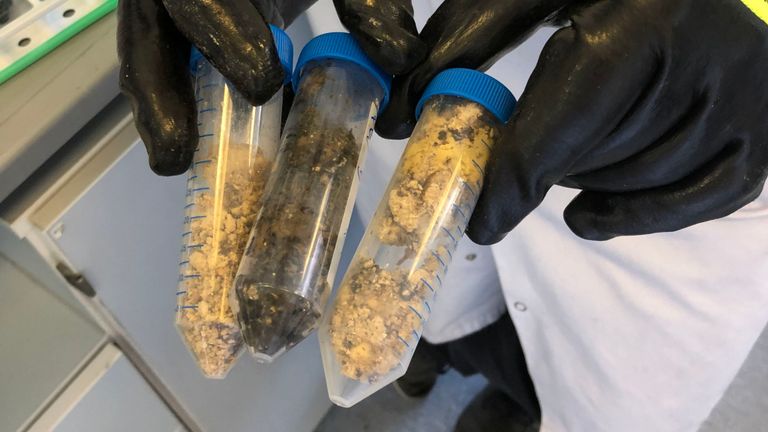 Les scientifiques ont révélé que les graisses ménagères et les produits d’hygiène avaient joué un rôle crucial dans la formation du fatberg géant caché sous une ville balnéaire.
