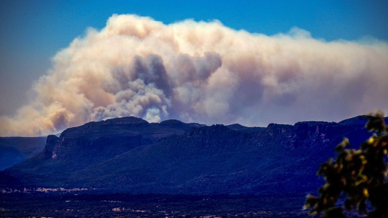 Les incendies ont consommé au moins 20 000 hectares du parc national de Wollemi, à 100 km à l'ouest de Sydney.