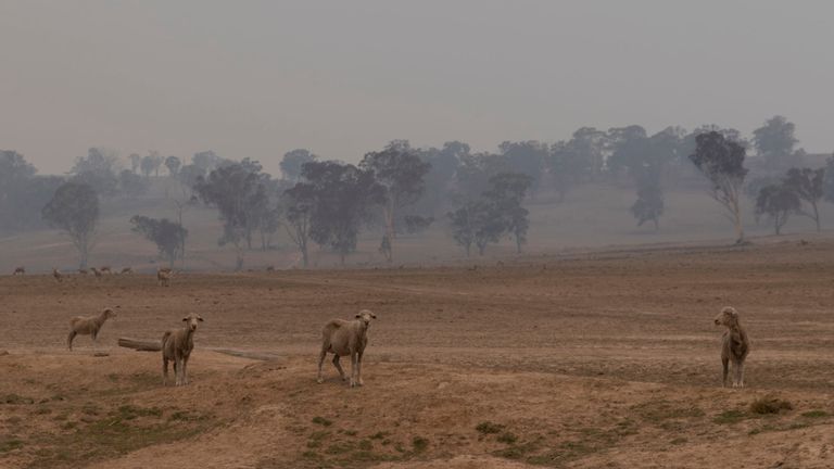 La fumée envahit le paysage autour de Torrington en Nouvelle-Galles du Sud