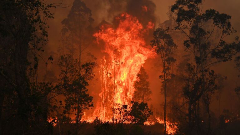 Plus de 150 maisons ont été détruites par les incendies