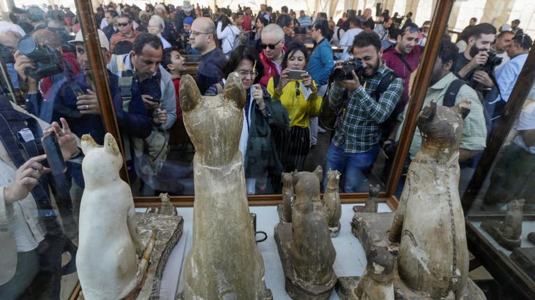 Des statues de chats découvertes dans une cache, dans la région de Saqqarah près de sa nécropole, sont photographiées à Giza, en Égypte, le 23 novembre 2019.