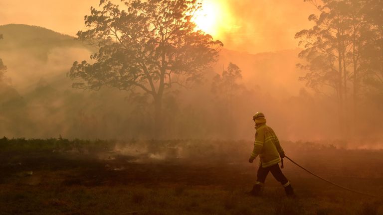 Un pompier défend une propriété contre un feu de brousse à Hillville près de Taree, à 350 km au nord de Sydney le 12 novembre 2019