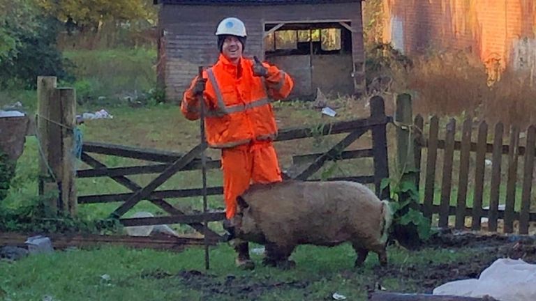 Pickle le cochon. Pic: Tamise Eau