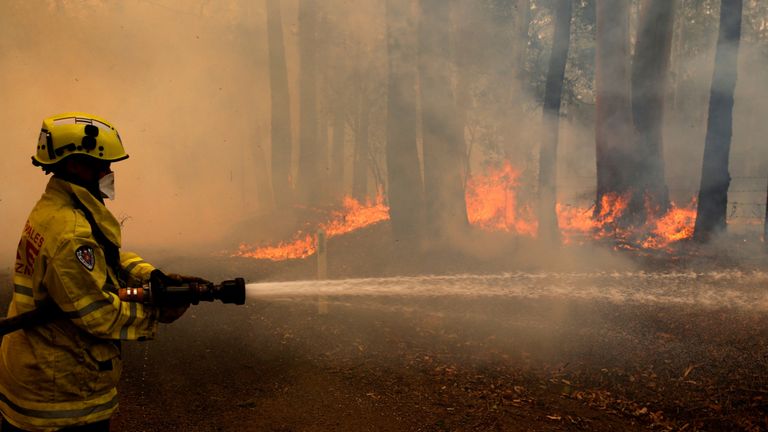 Un membre de l'équipe d'incendie de Gloucester lutte contre les feux d'un feu de brousse à Koorainghat, près de Taree, dans la région de la côte nord de NSW, Australie, le 12 novembre 2019