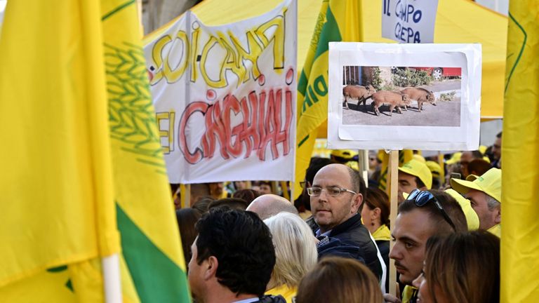 Les agriculteurs se rassemblent lors d'une manifestation contre les sangliers envahissants