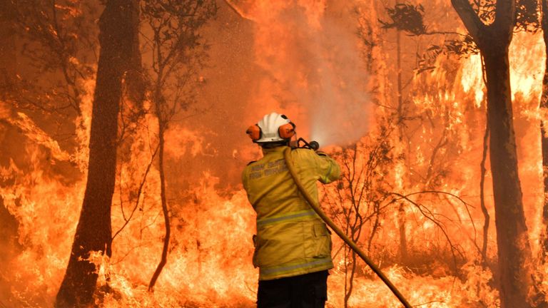Un pompier effectue des mesures de retour de flamme sur la côte centrale de la Nouvelle-Galles du Sud plus tôt ce mois-ci