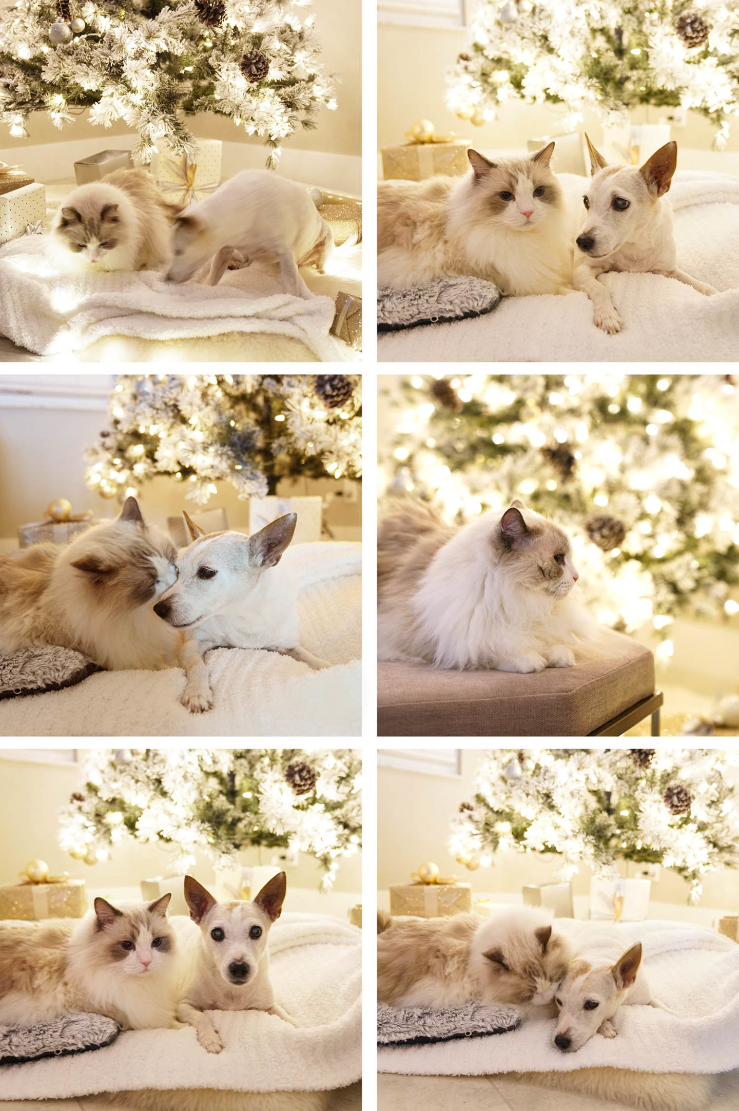 Noël 2019