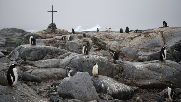 Manchots Adélie et Gentoo à côté d'un mémorial à trois employés du British Antarctic Survey portés disparus