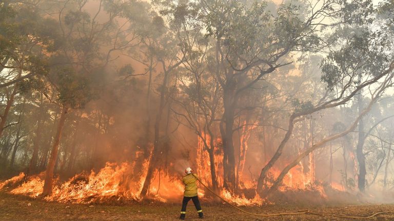 Un pompier effectue des mesures de retour de flamme sur la côte centrale de la Nouvelle-Galles du Sud plus tôt ce mois-ci
