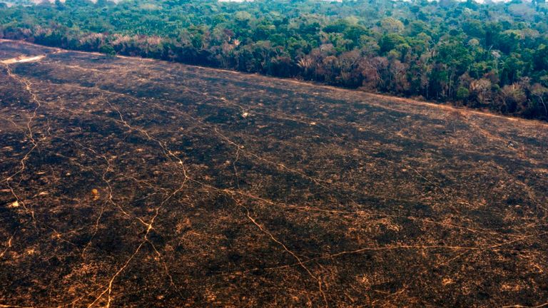 La forêt amazonienne, près de Porto Velho au Brésil, l'une des zones touchées par les incendies au cours de l'été
