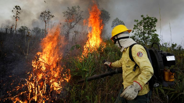 Incendie dans la forêt amazonienne