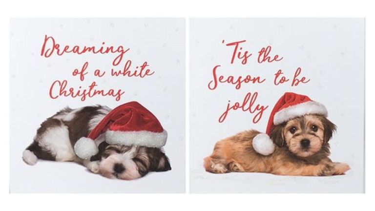 Les cartes de Noël caritatives de Tesco collectent 300 000 £ chaque année pour trois grands organismes de bienfaisance britanniques dans le domaine de la santé. Pic: Tesco