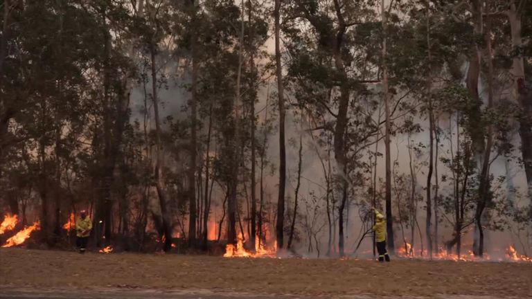 Les incendies montrent peu de signes de ralentissement