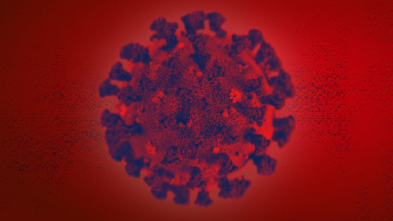 La morphologie ultrastructurale présentée par le nouveau coronavirus 2019