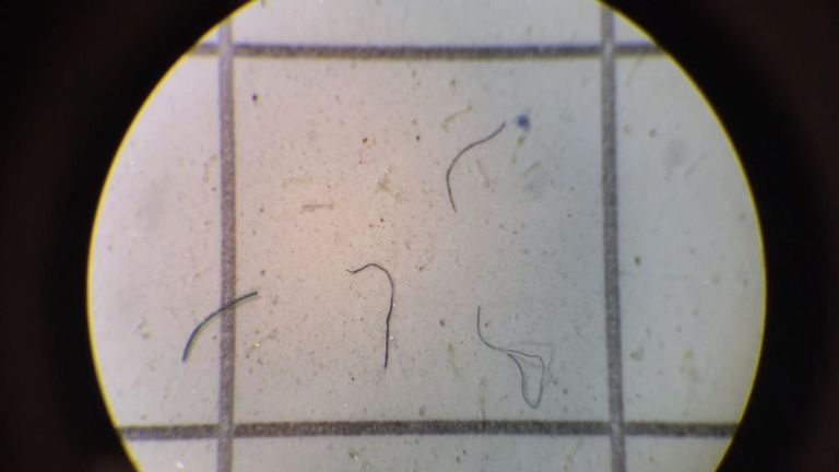 Les microplastiques se trouvent dans l'une des parties les plus vierges de la planète